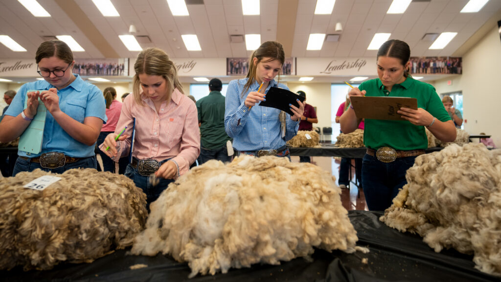 Texas A&M AgriLife Extension Service to Establish Texas 4-H Headquarters, Launch Capital Campaign
